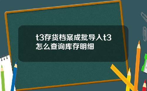 t3存货档案成批导入t3怎么查询库存明细