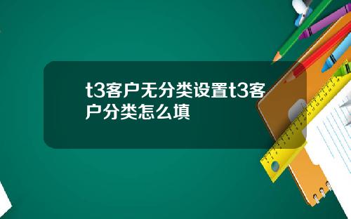 t3客户无分类设置t3客户分类怎么填