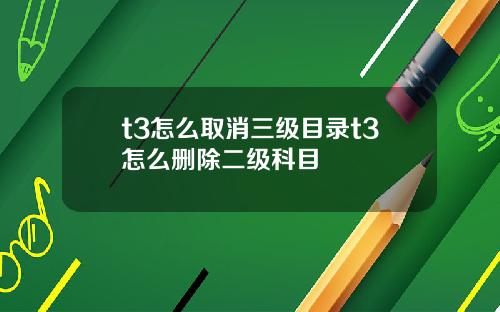 t3怎么取消三级目录t3怎么删除二级科目