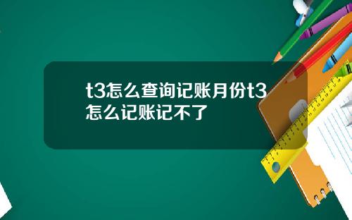 t3怎么查询记账月份t3怎么记账记不了