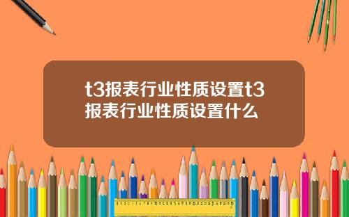 t3报表行业性质设置t3报表行业性质设置什么
