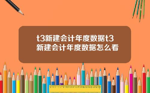 t3新建会计年度数据t3新建会计年度数据怎么看