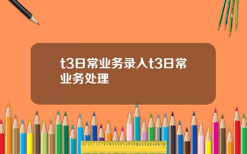t3日常业务录入t3日常业务处理