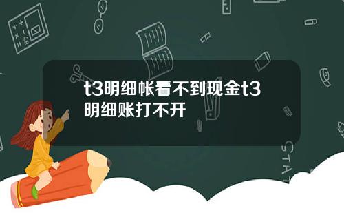 t3明细帐看不到现金t3明细账打不开