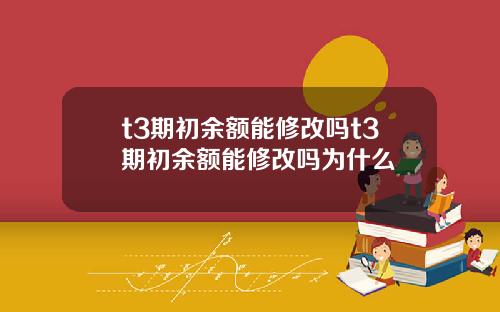 t3期初余额能修改吗t3期初余额能修改吗为什么