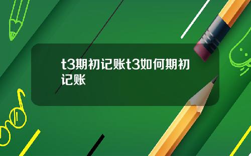 t3期初记账t3如何期初记账