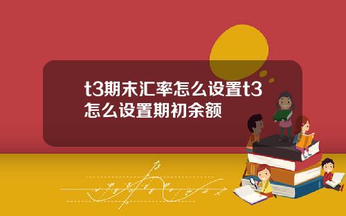 t3期末汇率怎么设置t3怎么设置期初余额