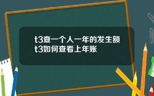 t3查一个人一年的发生额t3如何查看上年账