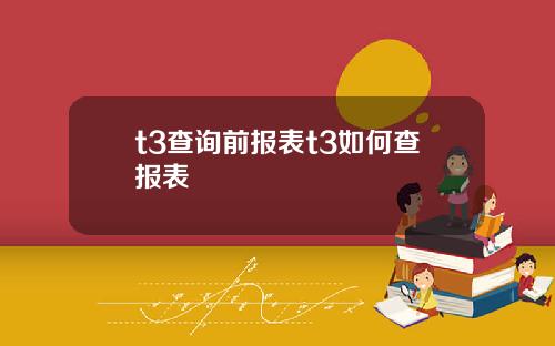 t3查询前报表t3如何查报表