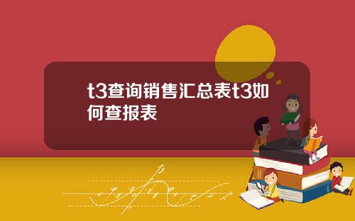 t3查询销售汇总表t3如何查报表
