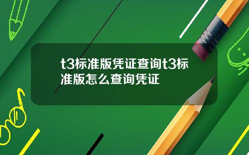 t3标准版凭证查询t3标准版怎么查询凭证