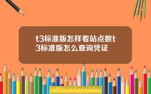 t3标准版怎样看站点数t3标准版怎么查询凭证