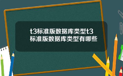 t3标准版数据库类型t3标准版数据库类型有哪些