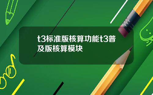 t3标准版核算功能t3普及版核算模块
