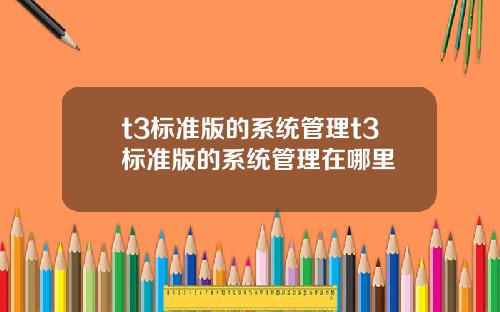 t3标准版的系统管理t3标准版的系统管理在哪里