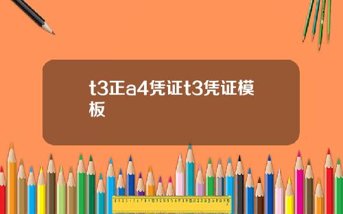 t3正a4凭证t3凭证模板