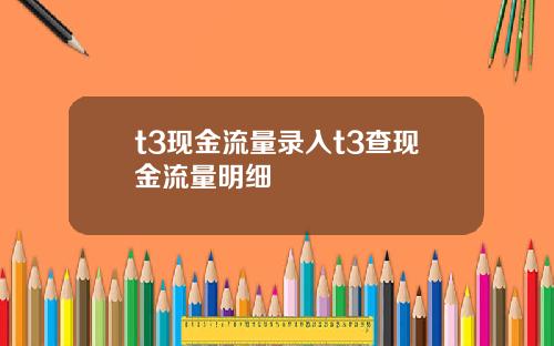 t3现金流量录入t3查现金流量明细