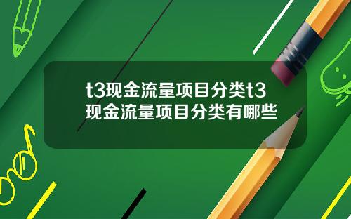 t3现金流量项目分类t3现金流量项目分类有哪些