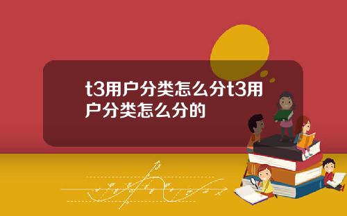 t3用户分类怎么分t3用户分类怎么分的