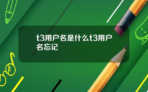 t3用户名是什么t3用户名忘记