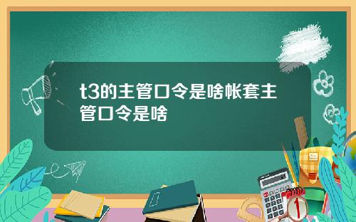 t3的主管口令是啥帐套主管口令是啥