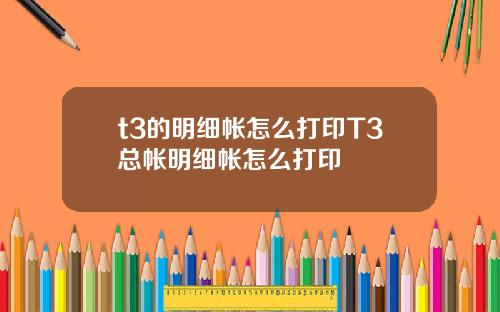 t3的明细帐怎么打印T3总帐明细帐怎么打印