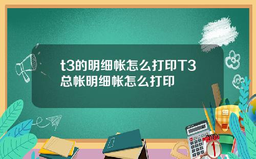 t3的明细帐怎么打印T3总帐明细帐怎么打印