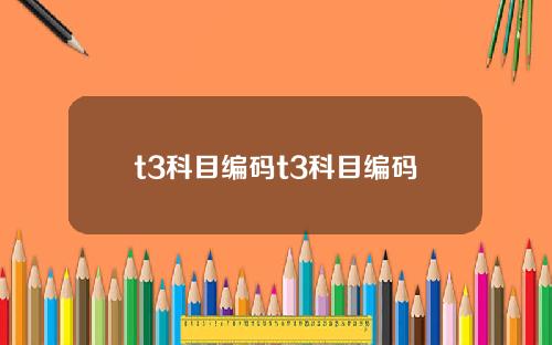 t3科目编码t3科目编码