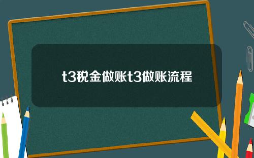 t3税金做账t3做账流程
