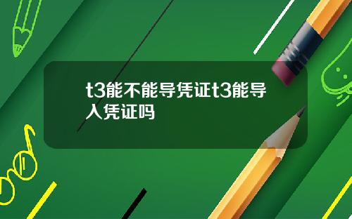 t3能不能导凭证t3能导入凭证吗