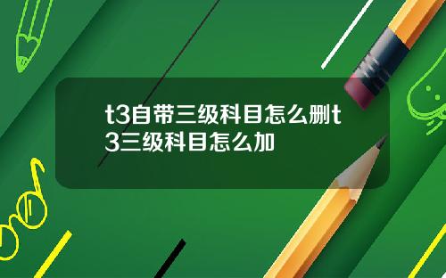 t3自带三级科目怎么删t3三级科目怎么加