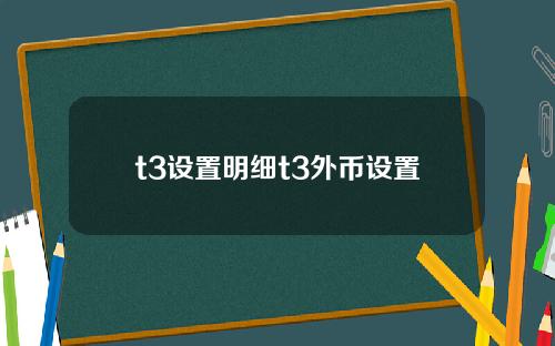 t3设置明细t3外币设置