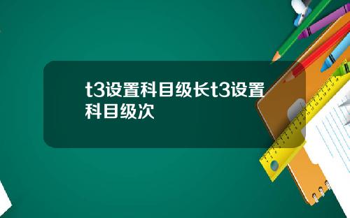 t3设置科目级长t3设置科目级次