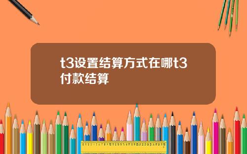 t3设置结算方式在哪t3付款结算
