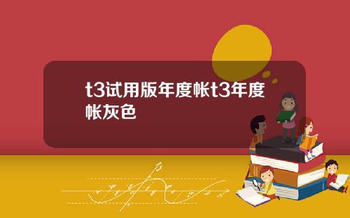 t3试用版年度帐t3年度帐灰色