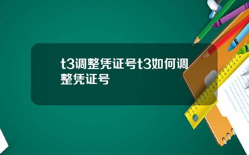 t3调整凭证号t3如何调整凭证号