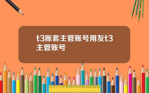 t3账套主管账号用友t3主管账号