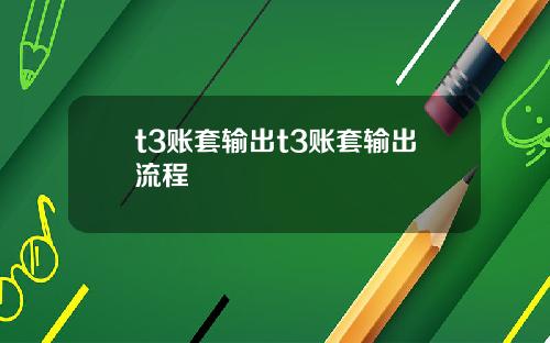 t3账套输出t3账套输出流程