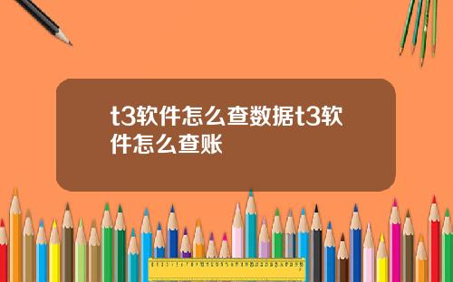 t3软件怎么查数据t3软件怎么查账