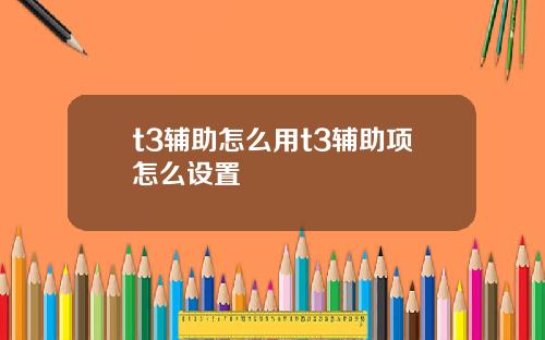 t3辅助怎么用t3辅助项怎么设置