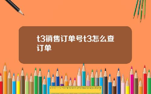 t3销售订单号t3怎么查订单