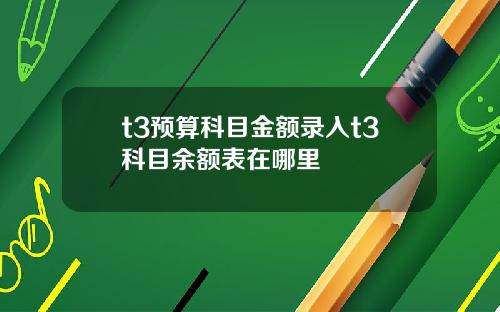 t3预算科目金额录入t3科目余额表在哪里