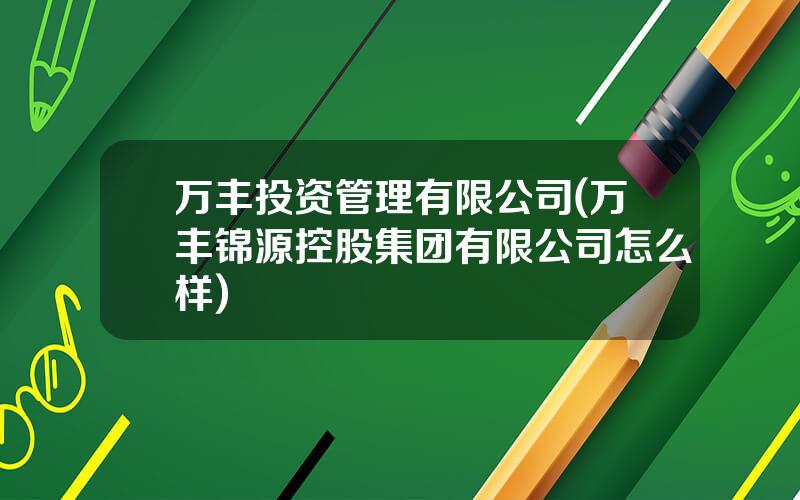 万丰投资管理有限公司(万丰锦源控股集团有限公司怎么样)