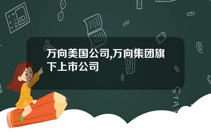 万向美国公司,万向集团旗下上市公司
