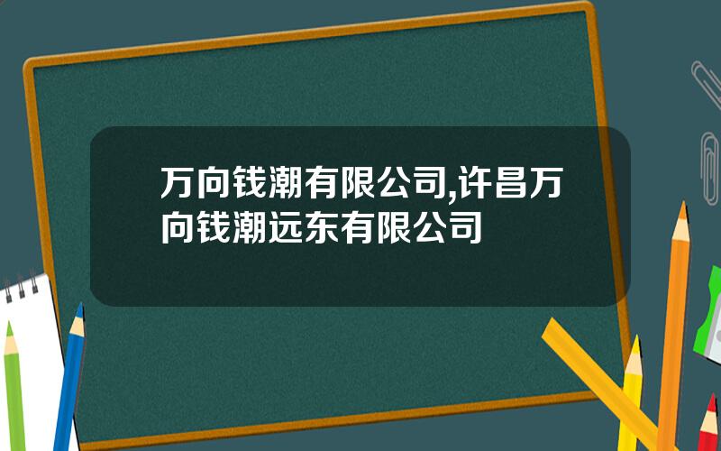 万向钱潮有限公司,许昌万向钱潮远东有限公司