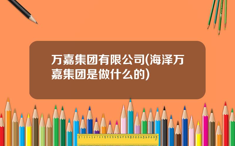 万嘉集团有限公司(海泽万嘉集团是做什么的)