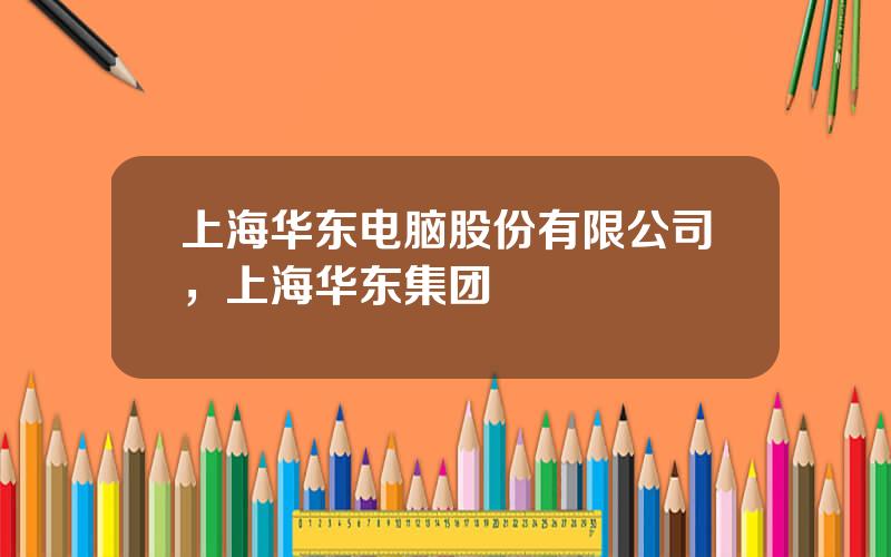 上海华东电脑股份有限公司，上海华东集团