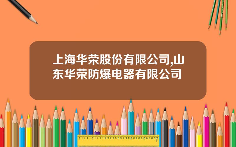上海华荣股份有限公司,山东华荣防爆电器有限公司