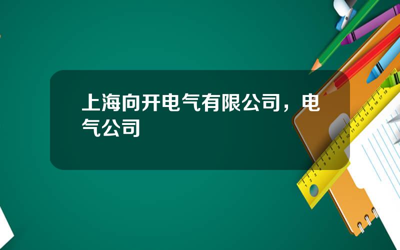 上海向开电气有限公司，电气公司