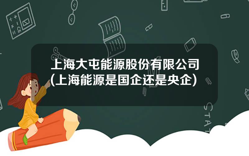 上海大屯能源股份有限公司(上海能源是国企还是央企)